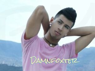 Damnfoxter