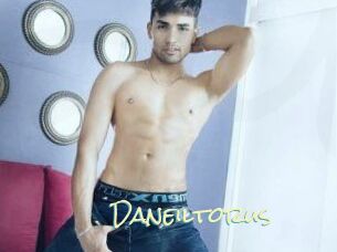 Daneil_torus