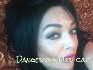 dangerous_wild_cat Porn Monkey Cash