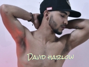 David_harlow