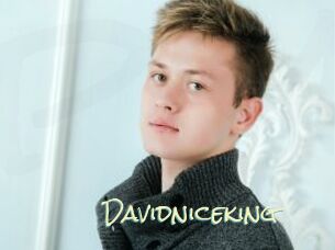 Davidniceking