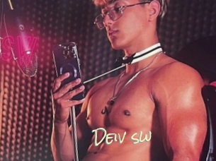 Deiv_sw