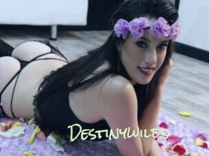 Destinywilds