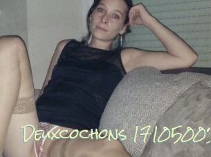 Deuxcochons
