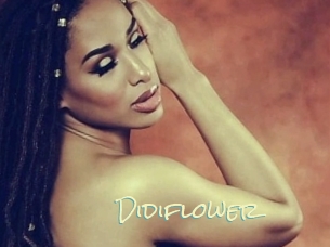 Didiflower