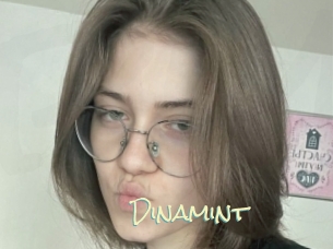 Dinamint