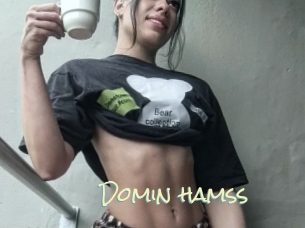 Domin_hamss