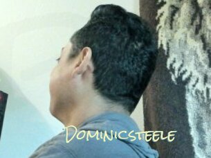 Dominicsteele