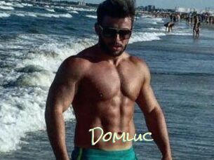 Domluc