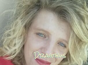 Dragibus