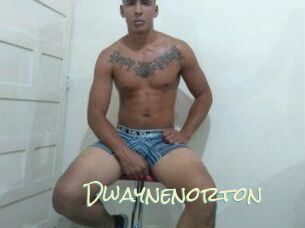 Dwaynenorton