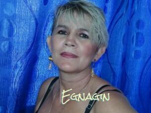 Egnagin