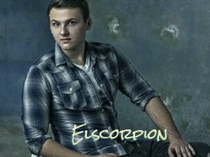 Elscorpion