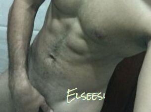 Elseesi