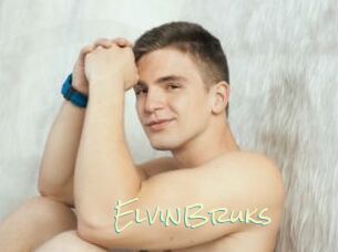 ElvinBruks
