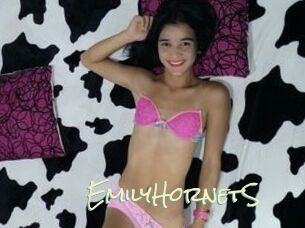 EmilyHornetS