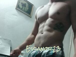 Escanor23