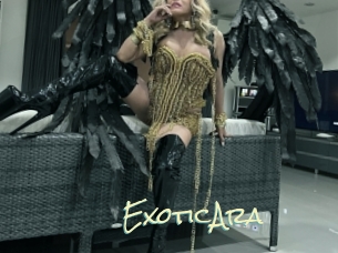 ExoticAra Porn Monkey Cash
