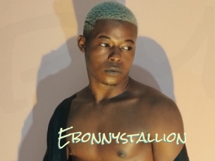 Ebonnystallion