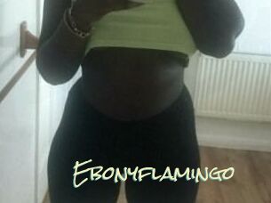 Ebony_flamingo