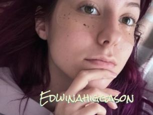 Edwinahiggason