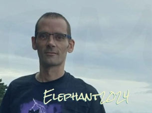 Elephant2024