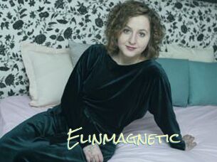 Elinmagnetic