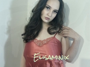Elisaminix