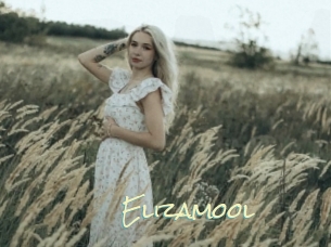 Elizamool