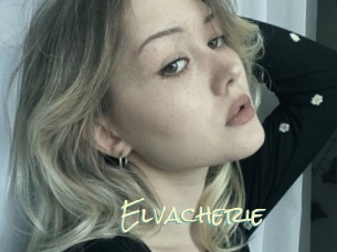 Elvacherie
