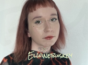 Elwinebuskey