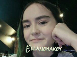 Elwinehakey