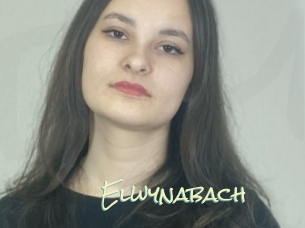 Elwynabach