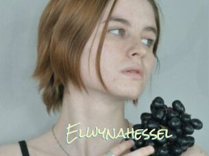 Elwynahessel