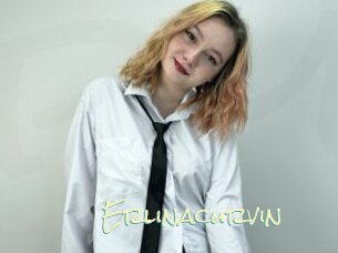 Erlinacurvin