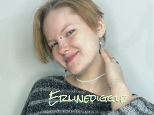 Erlinediggle