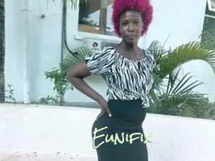 Eunifix