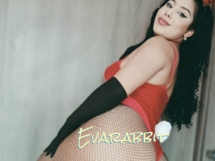 Evarabbit