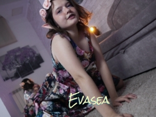 Evasea