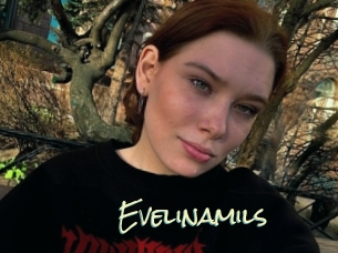 Evelinamils