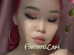FactorCam