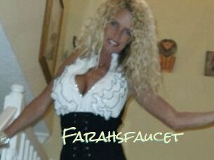 Farahsfaucet