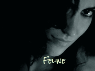 Feline