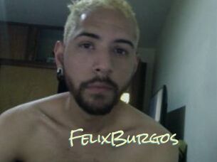FelixBurgos