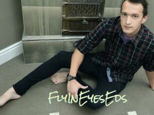FlyInEyesEds