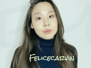 Felicecarvin