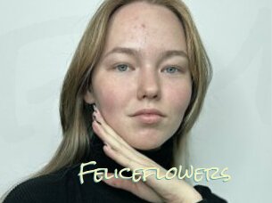 Feliceflowers