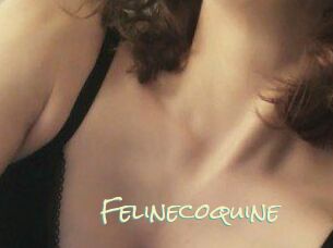 Felinecoquine