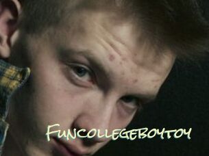 Funcollegeboytoy
