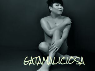 GATAMALICIOSA